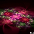 3D梦幻抽象花朵