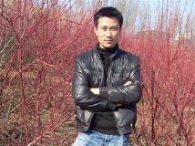 寻找真爱