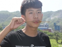 随遇而安